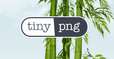 Tiny PNG is one of the 5  best free file compression software