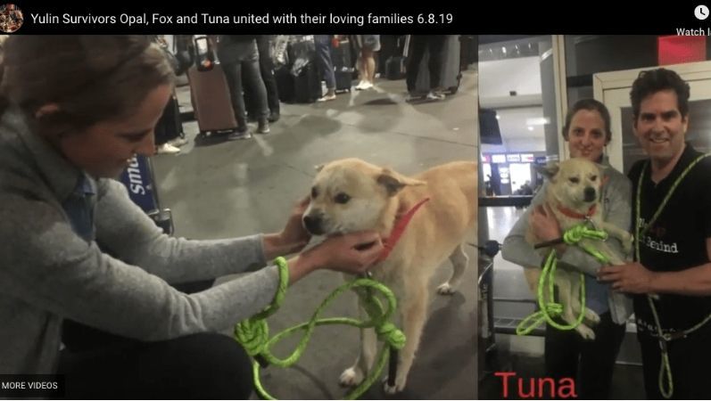 Tuna is rescued