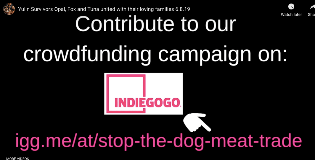 No Dogs Left Behind Crowdfunding campaign