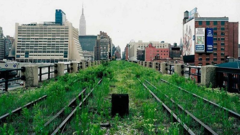 The Success of the High Line