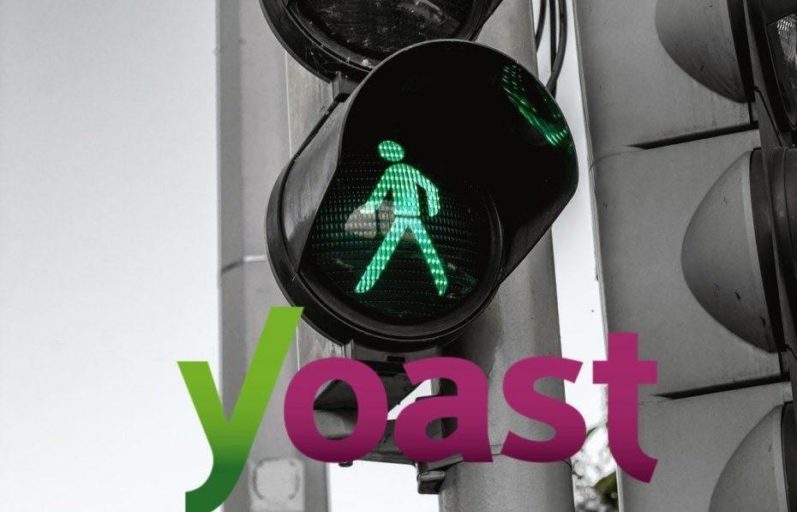 know how to use the Yoast SEO plugin, here is a prime example